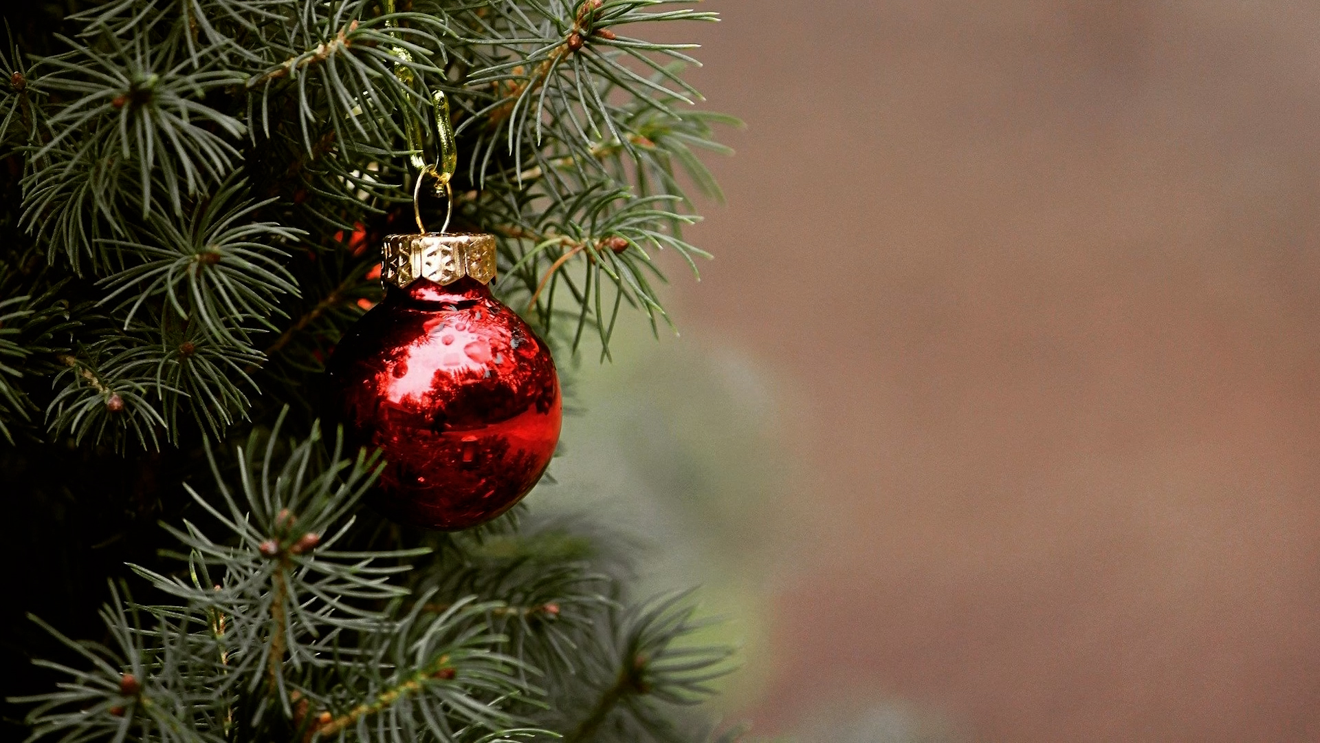 Vorweihnachts - MEgional 2021