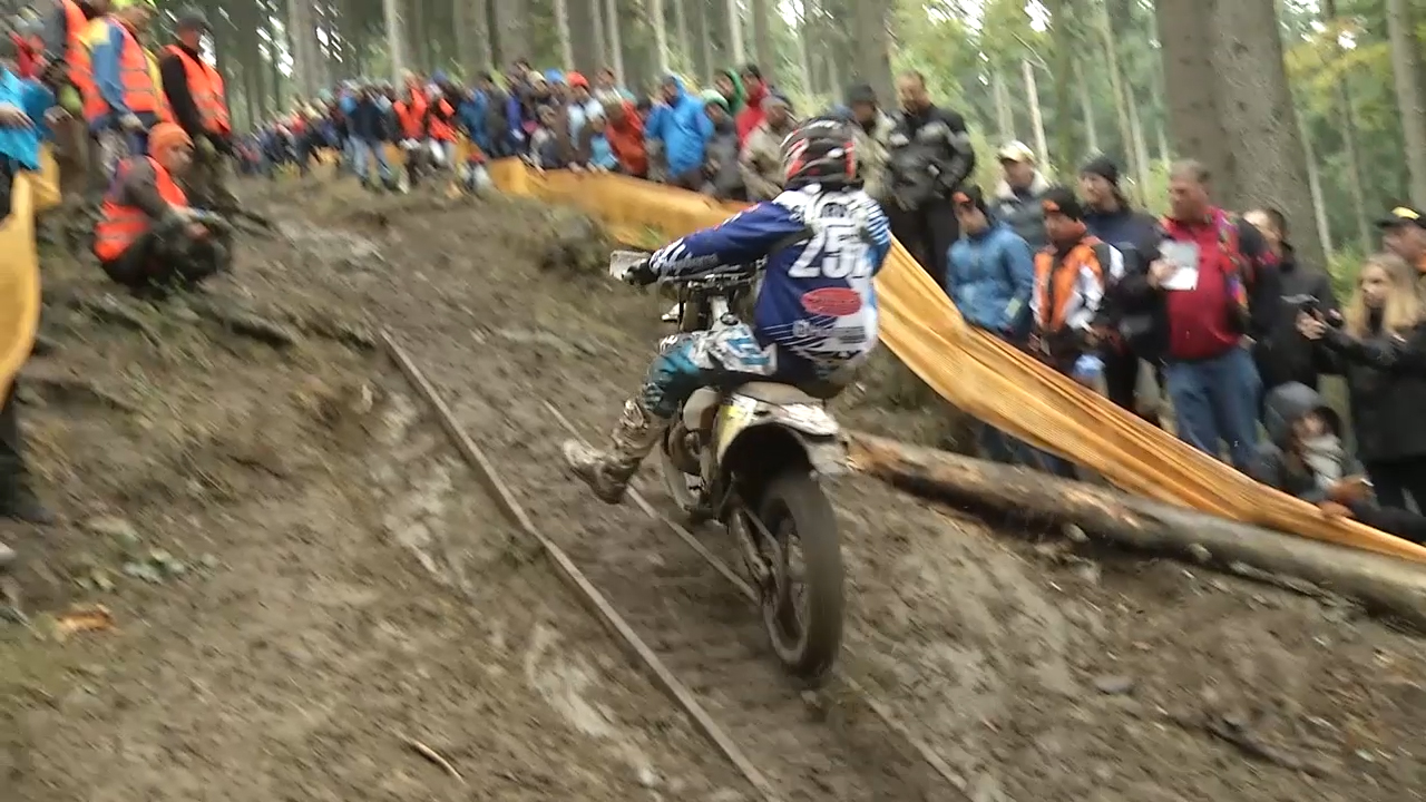 MEgional mit Infos zu Rund um Zschopau MEgional mit Infos zu Rund um Zschopau