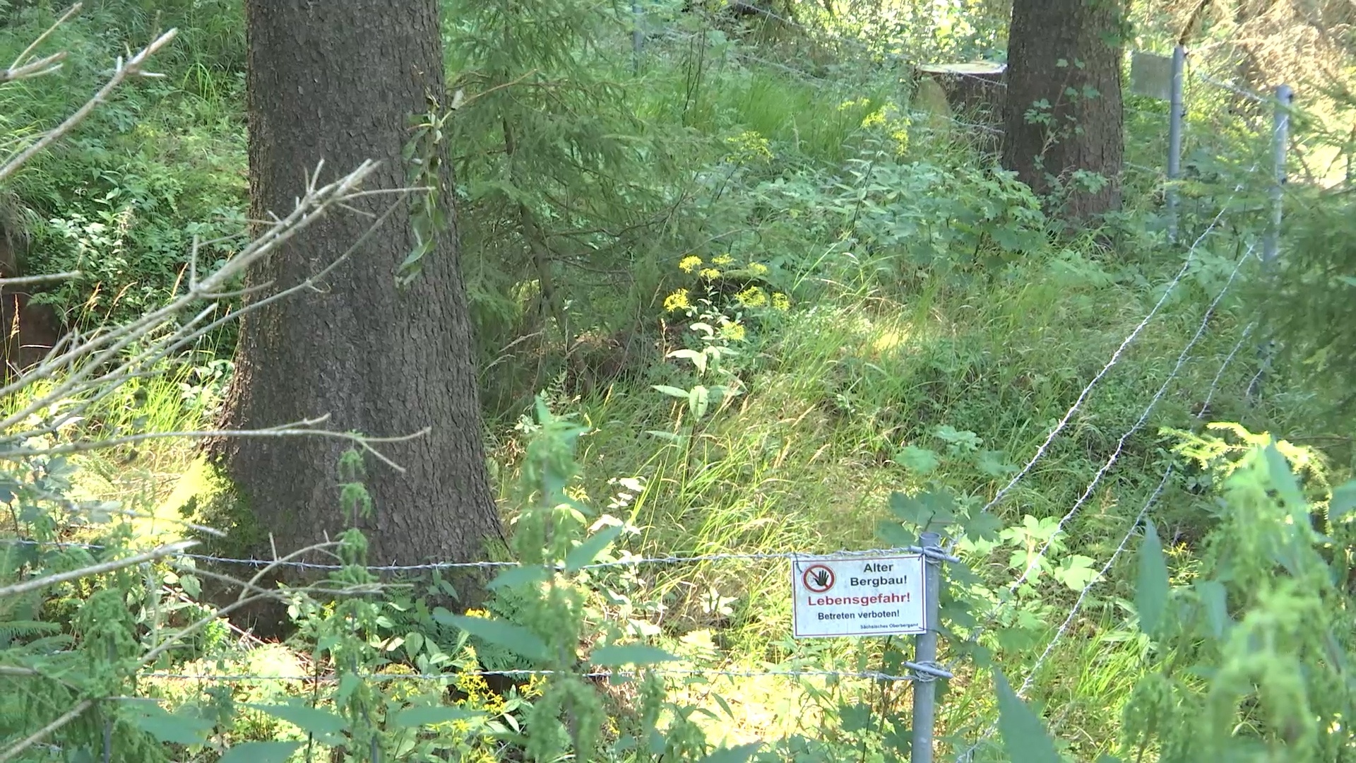 MEgional am 13. August 2020 mit der Bergbausanierung bei Pobershau