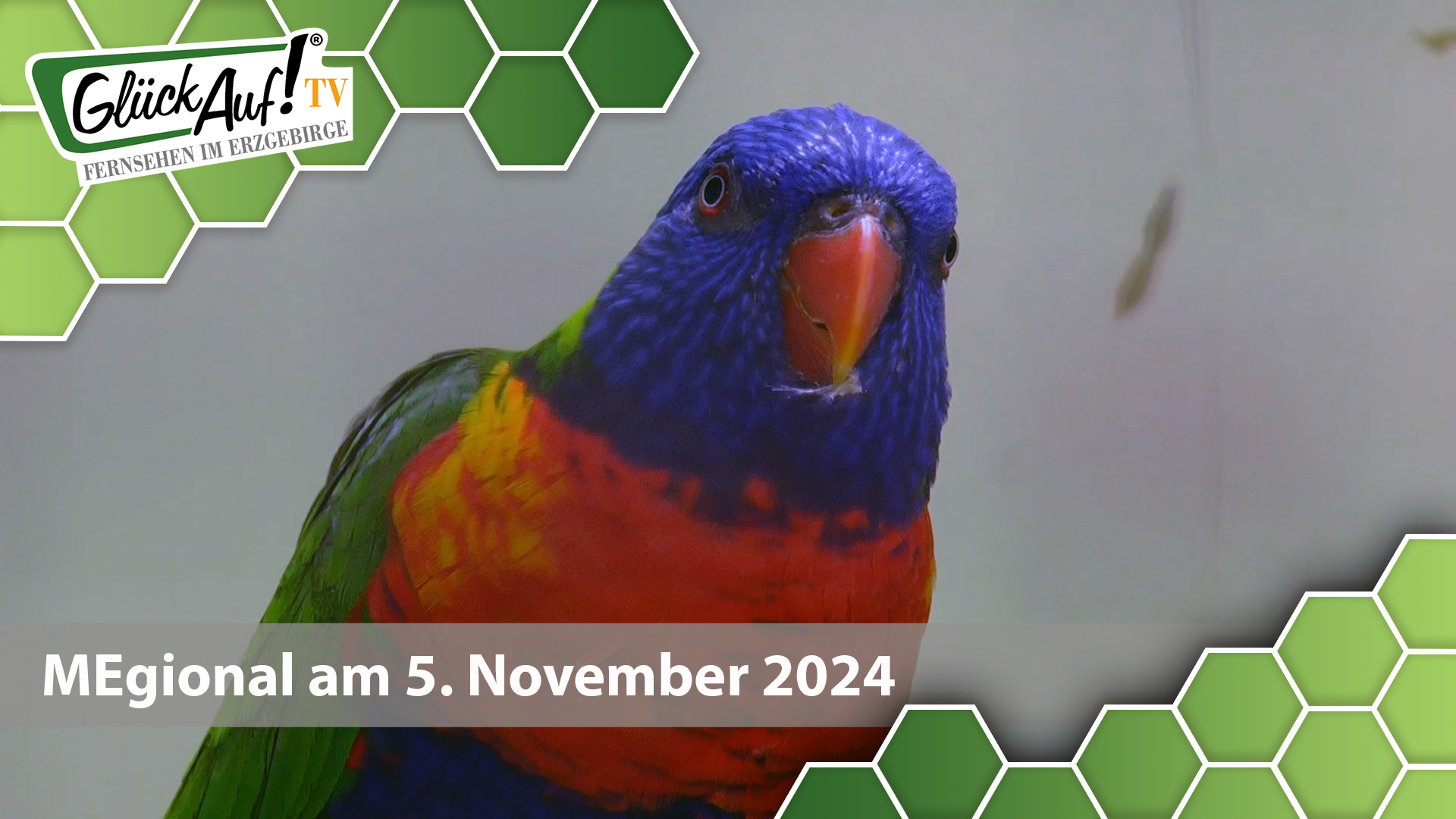 MEgional am 05. November 2024 mit der Vogelschau in Jahnsdorf 